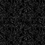 Kamasutra Black