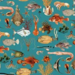Oceania – Teal