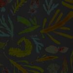 Oceanic Dreams