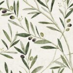 Olive Branch