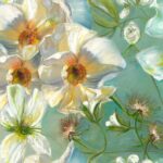 Pansy