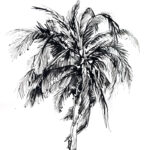 Phoenix Palm Mural