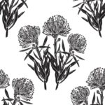 Pincushion – Black & White
