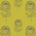 Protea – Chartreuse