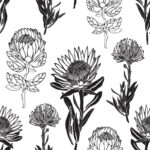 Protea Combo – Black & White