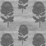Protea – Concrete