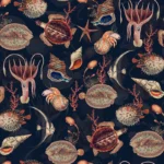 Shells and Sealife – Navy
