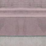 Washboard Rose