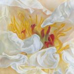Yellow and White Peony