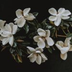 Sweet Magnolia